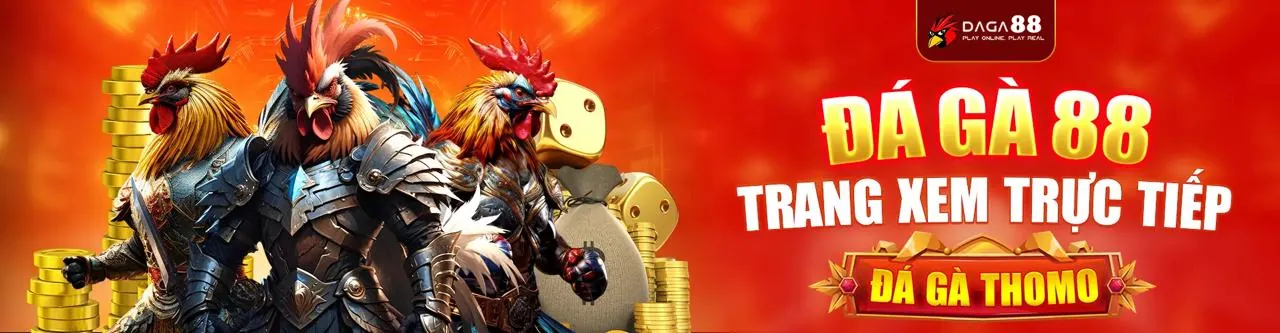 Đá gà trực tuyến kịch tính tại qh8888 link mới