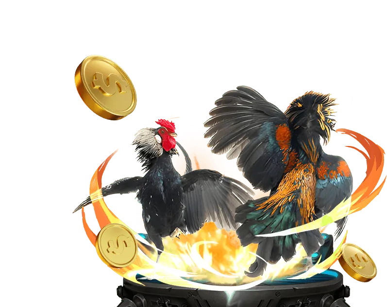Thưởng nạp lại hàng ngày và hoàn trả Slot